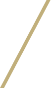 Gold-Strip